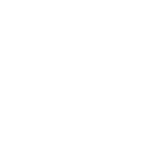 EU Flag Icon
